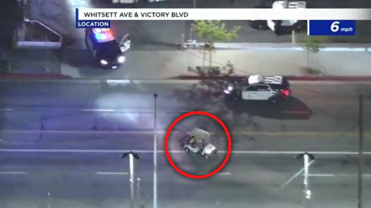 Stolen golf cart suspect has dog on lap