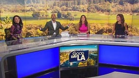 Wine and cheese to pair with Halloween candy