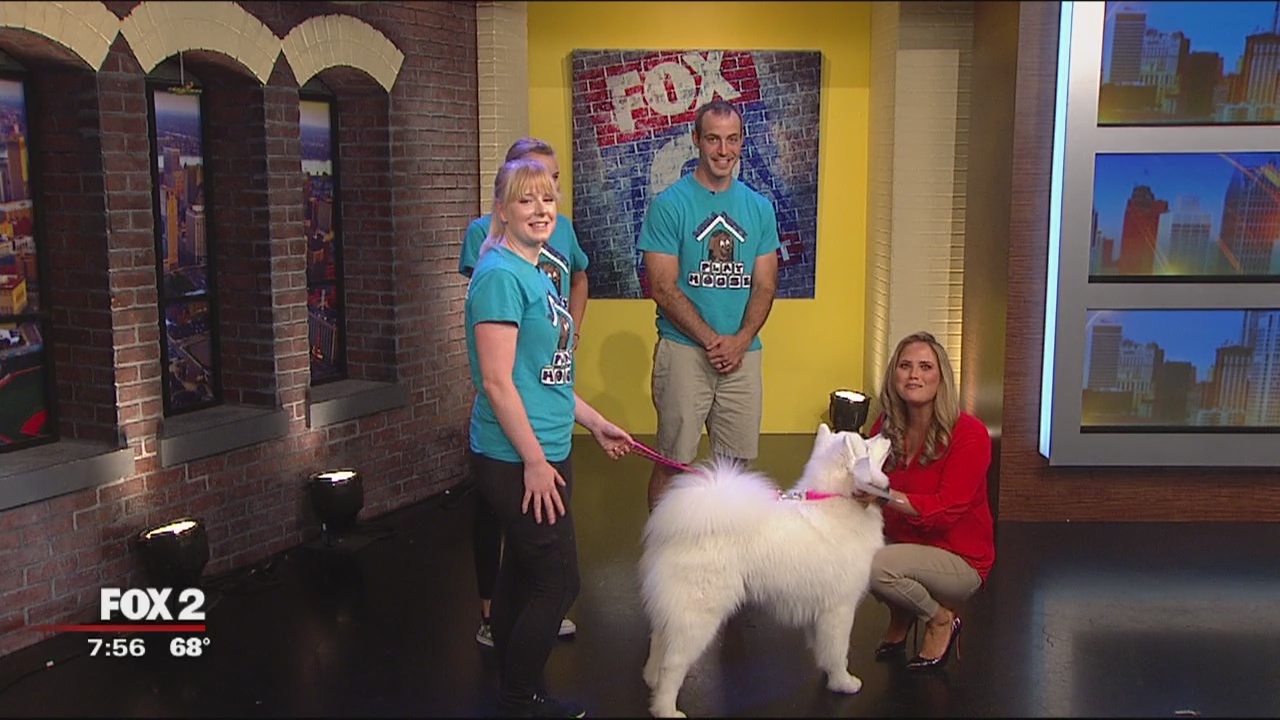 Bubble Puppy Playhouse