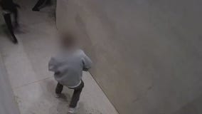 Armed homeowner fights off would-be robbers