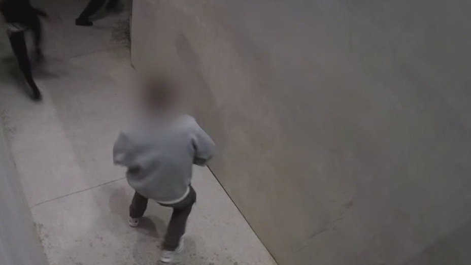 Armed homeowner fights off would-be robbers