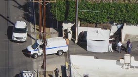 Arrest made after woman's torso found in dumpster