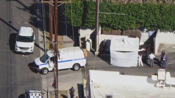 Arrest made after woman's torso found in dumpster