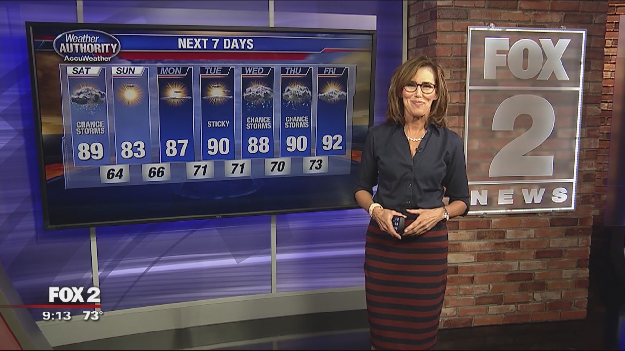 Sunshine, with a Chance of Storms | FOX 2 Detroit