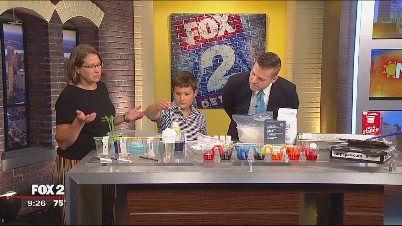 Summer science experiments for kids