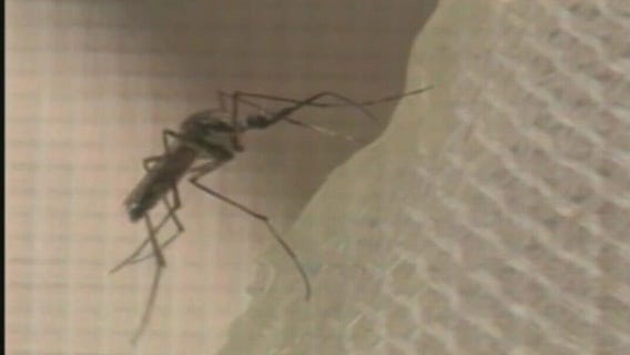 Long Beach confirms encephalitis case