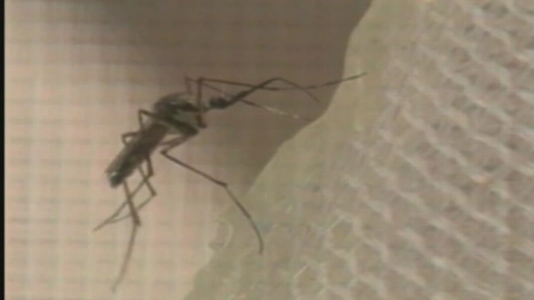 Long Beach confirms encephalitis case