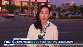 Man arrested, his in-laws missing after woman's torso found