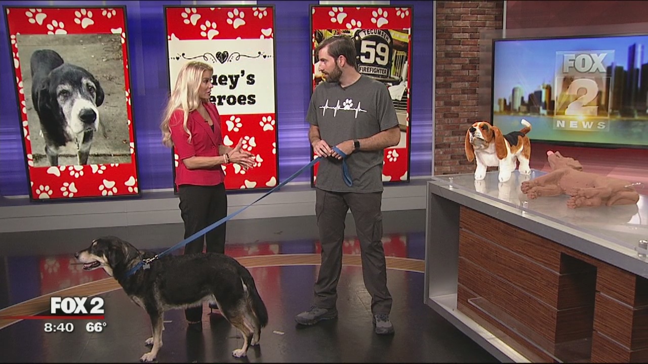 Pet safety with Huey's Heroes