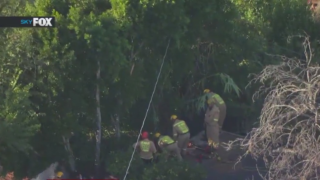 Human remains found in San Fernando Valley