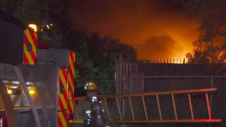 Woman, nephew, dog found dead in ammunition-fueled fire