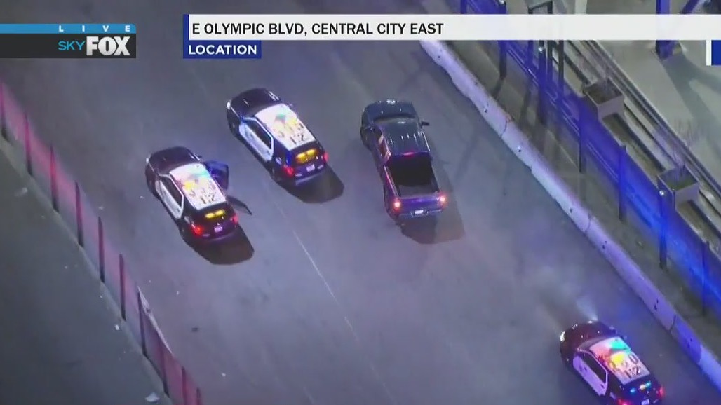 Wild pursuit as driver books it in reverse