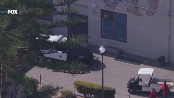 Child accused of bringing gun to school