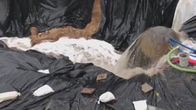 TEAM COVERAGE: SoCal storms cause flooding