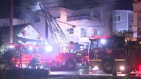 Dog rescued in Hermosa Beach house fire