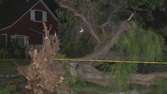 High winds cause damage in Southern California