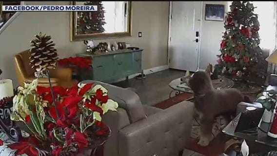 4.2 magnitude earthquake hits SoCal