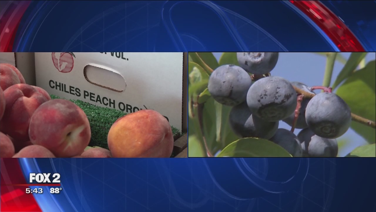 October is here, signaling the start of Breast Cancer Awareness Month