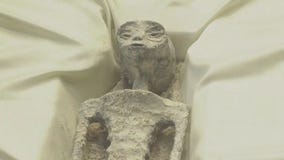 Peruvian officials say viral doll was not alien