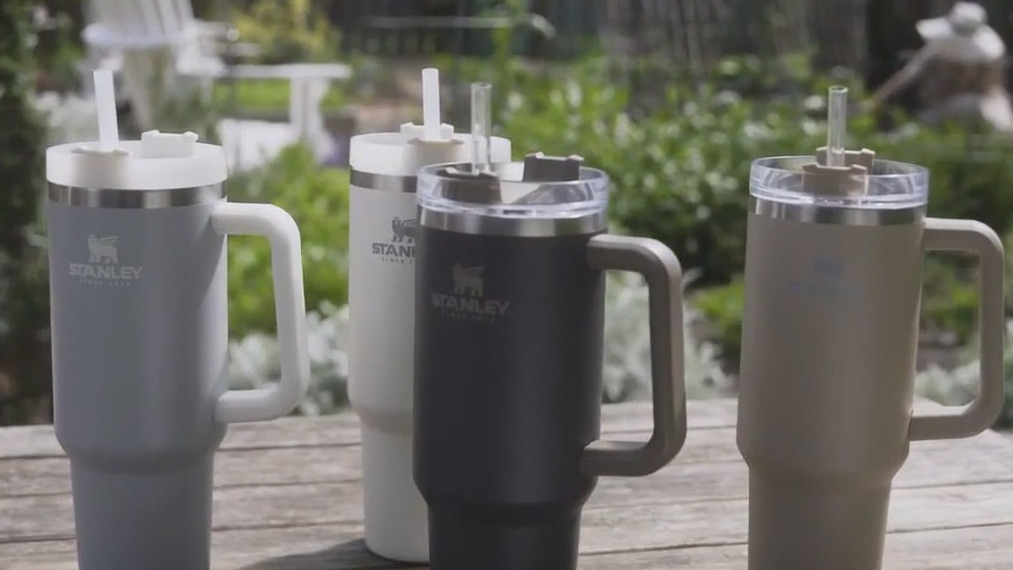 Mom angry child bulled for Stanley Cup knockoff