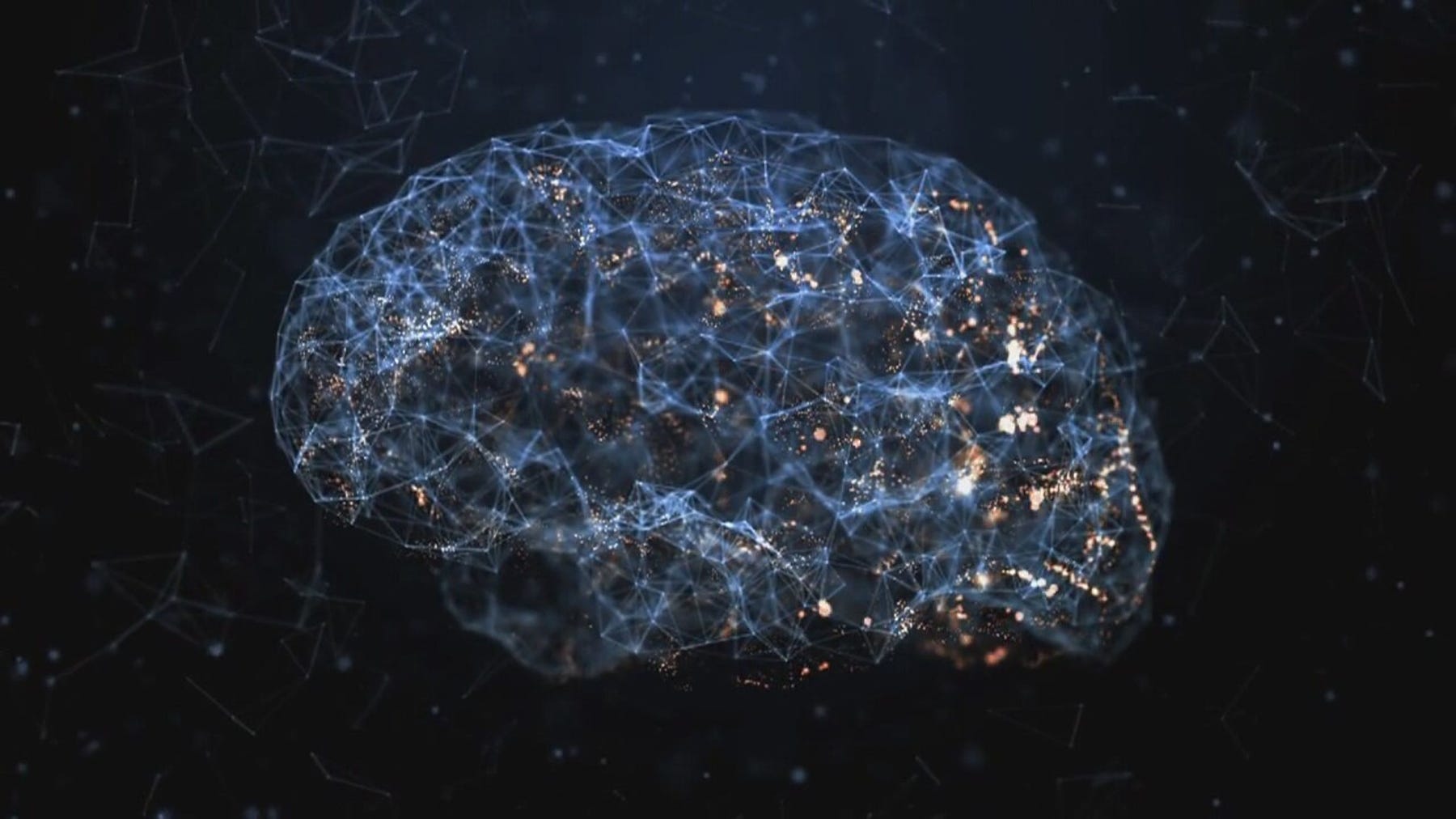 The science of your brain