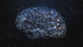 The science of your brain