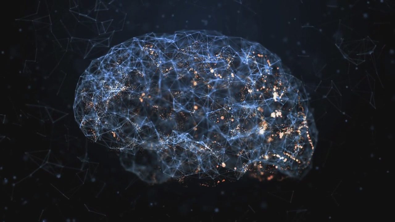 The science of your brain