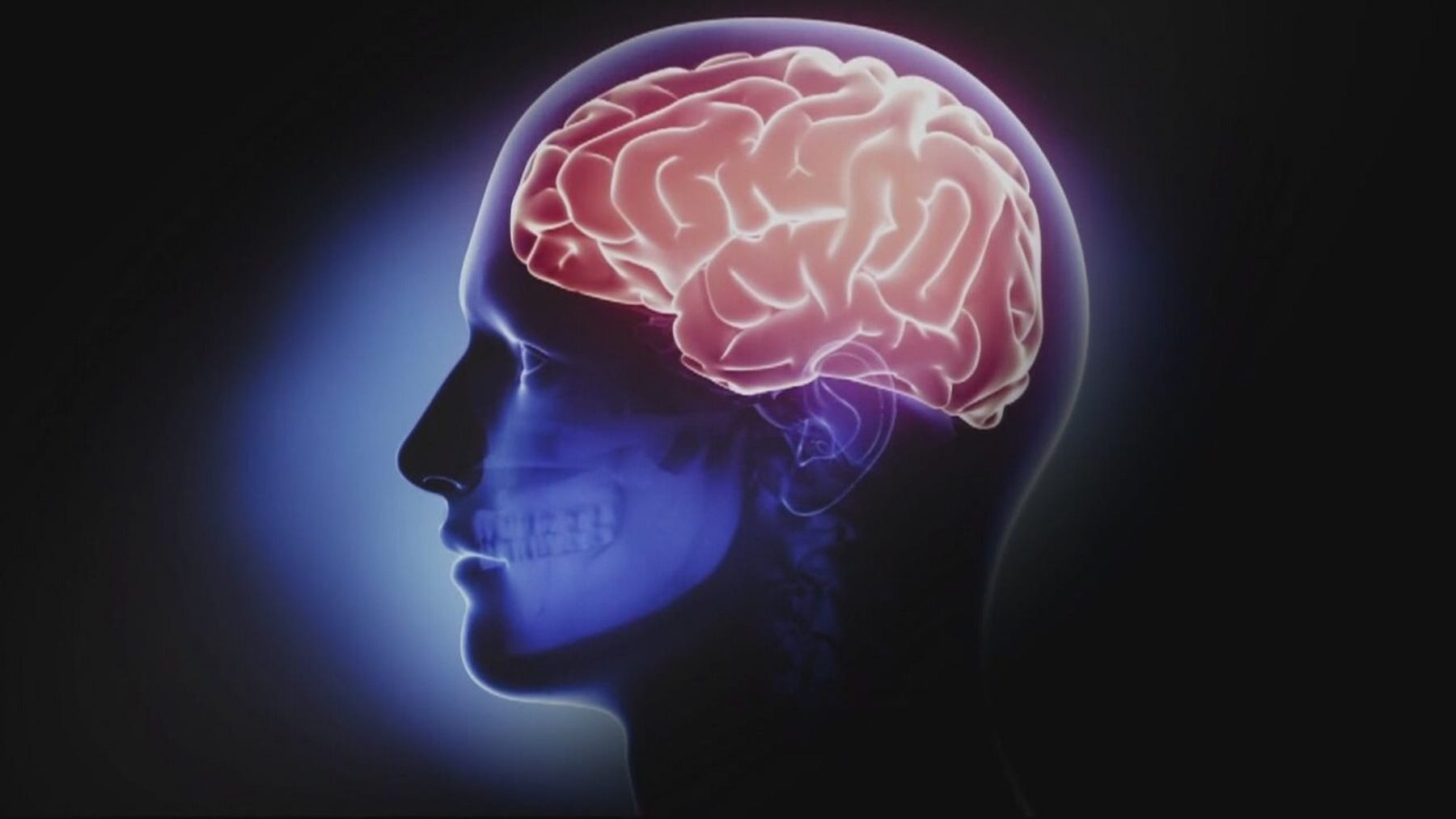 Stopping the Stigma: A FOX 2 News special report on mental illness