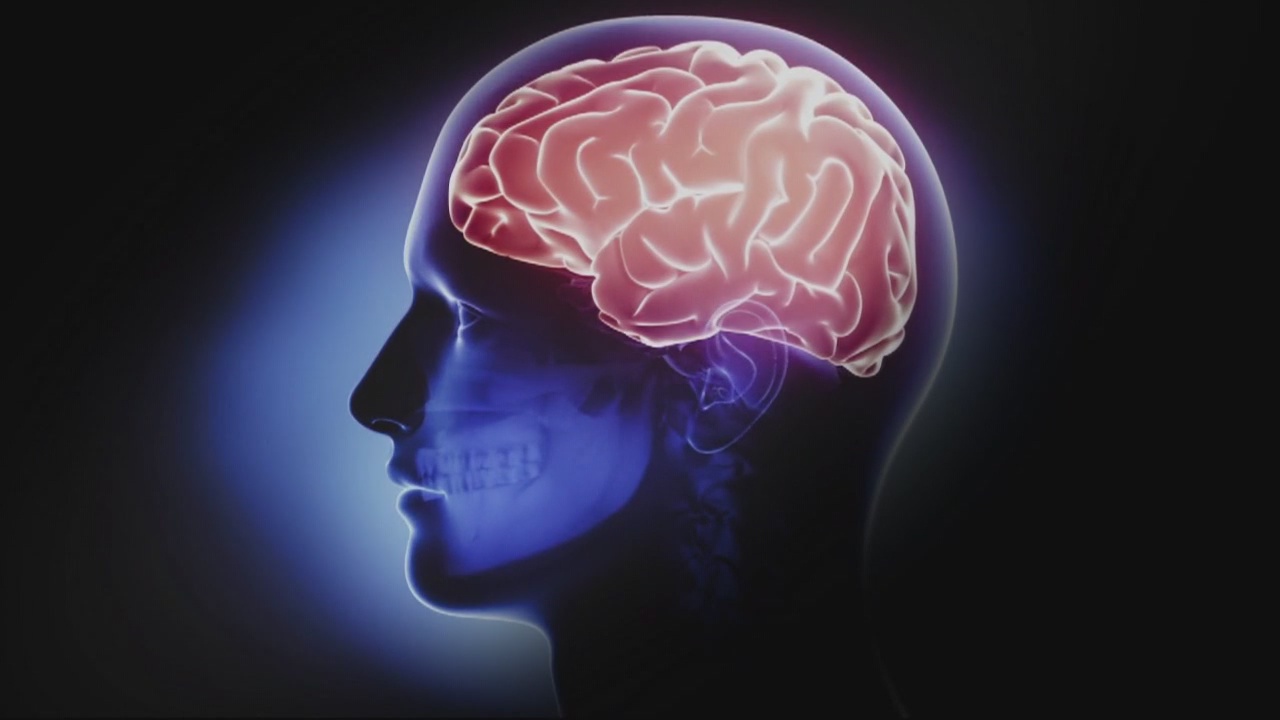 Stopping the Stigma: A FOX 2 News special report on mental illness