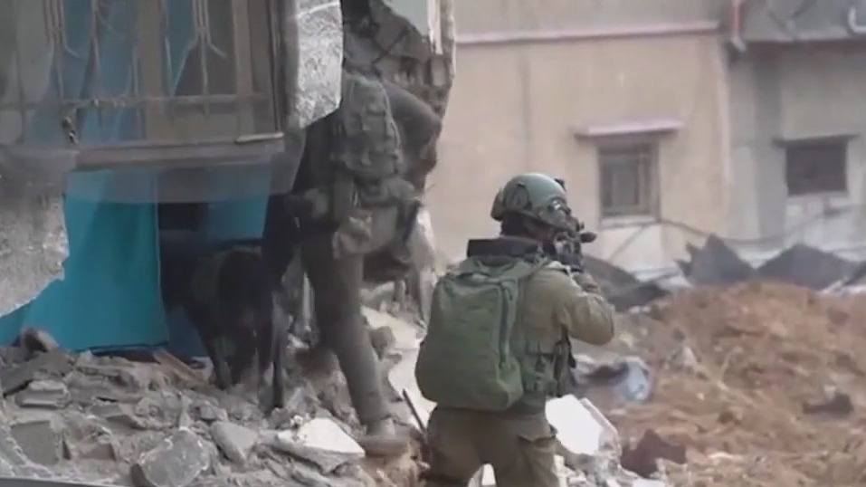 Biden vows retaliation after deadly drone strike