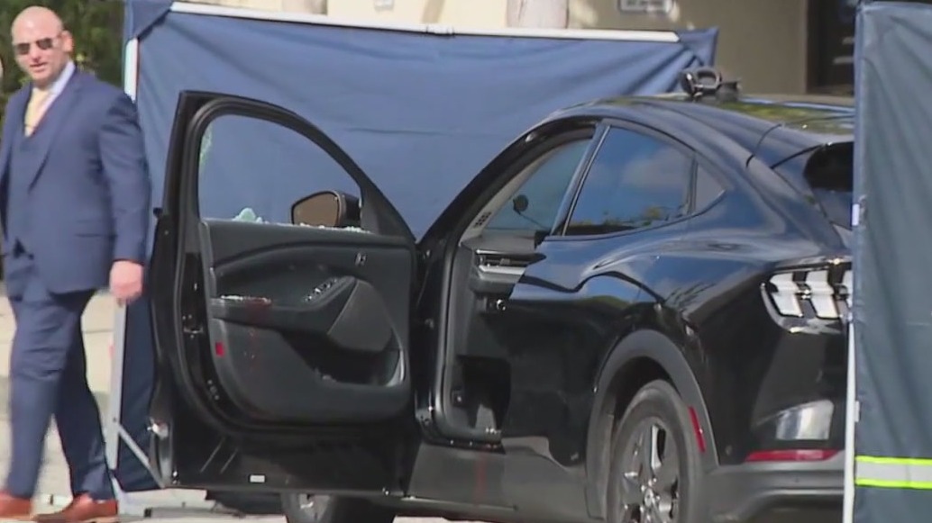 Woman arrested in Santa Monica shooting