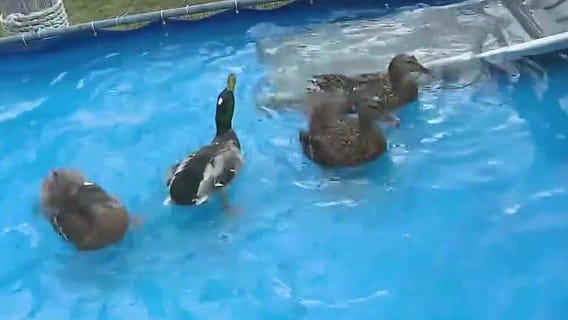 Inside the Bart Hall Ultimate Outdoor Show