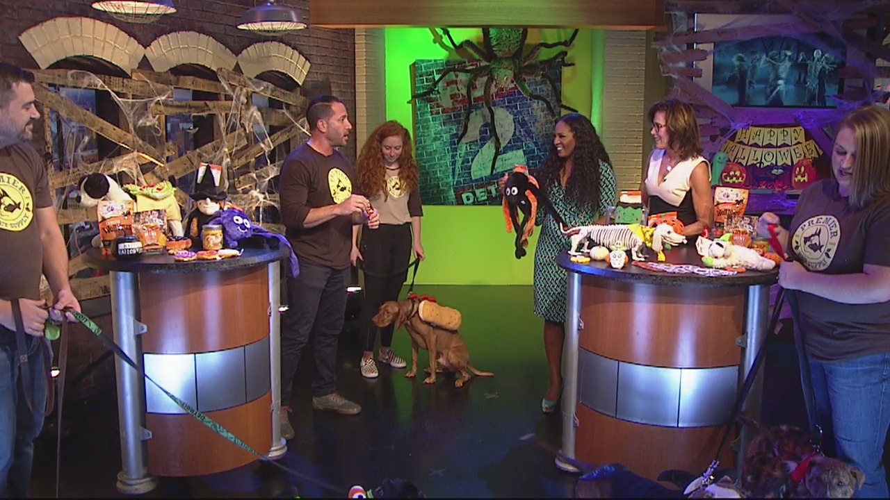 Halloween Pet Costume Fashion Show