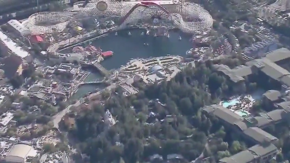 Disney planning classes now available