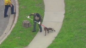 Compton man killed by dogs