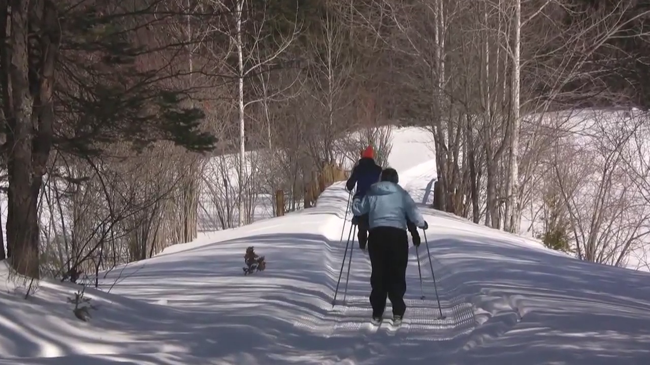 How to Ski for Free in Gaylord
