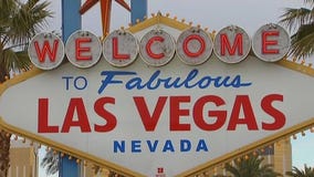 Bed bug outbreak at four Las Vegas hotels