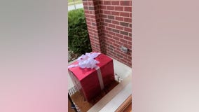 Michigan Sisters Cry Tears of Happiness as Christmas Wish for New Puppy Comes True