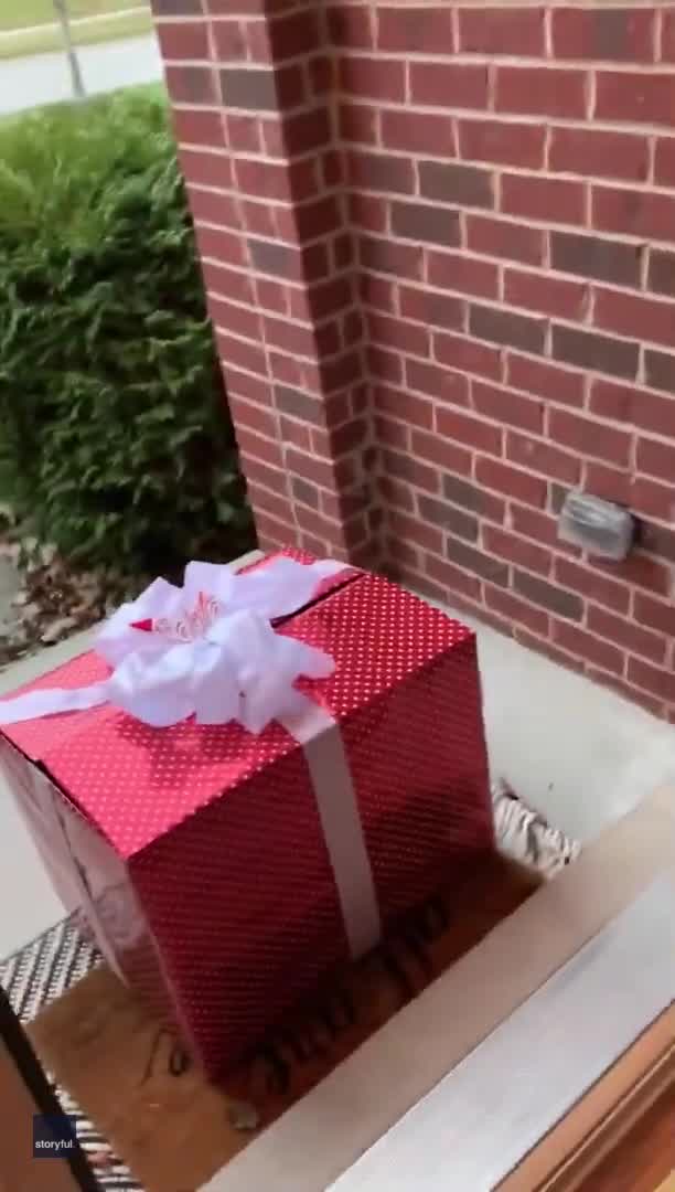 Michigan Sisters Cry Tears of Happiness as Christmas Wish for New Puppy Comes True