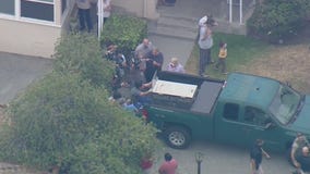 Big cat captured underneath Monrovia home