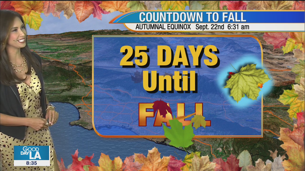 Weather Forecast for Friday, August 28