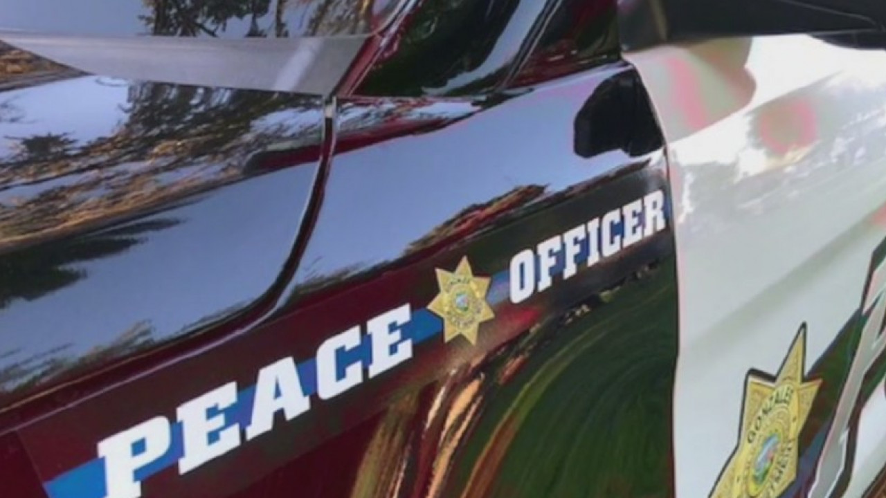 Peace2Police - the next generation idea for policing