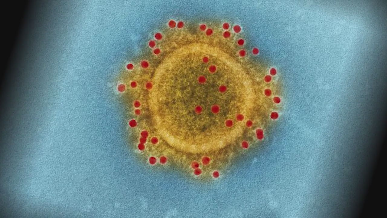 The Doctor is in: Coronavirus