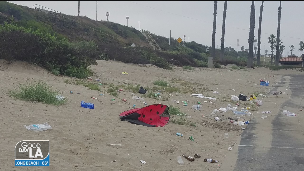 Cleaning up the coastline