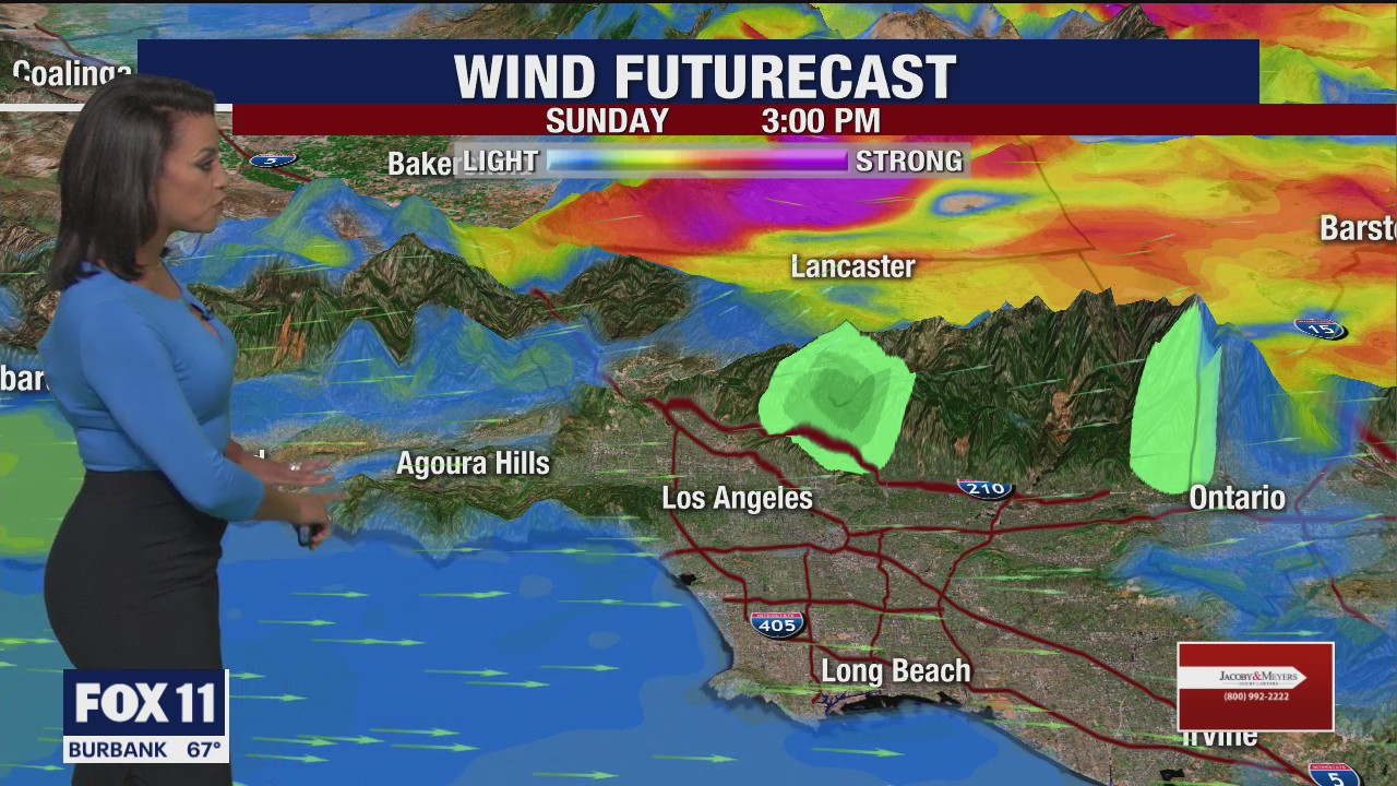 Weather Forecast for Sunday, Oct. 25