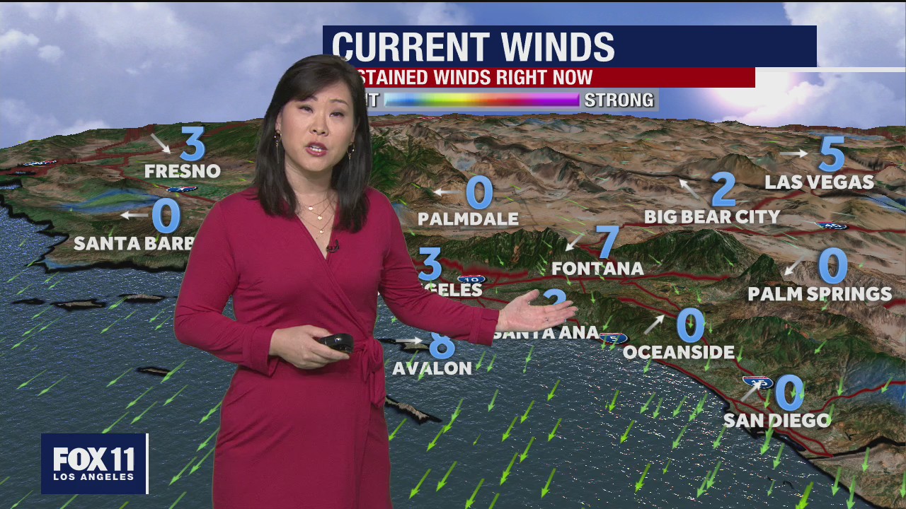 Weather Forecast for Sunday, November 15