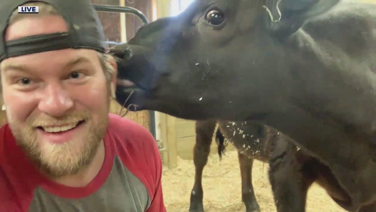 Friday Fix: Meeting more furry friends from Chelsea's Barn Sanctuary