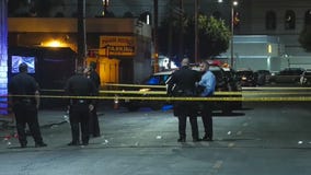 Pandemic parties continue despite crackdowns