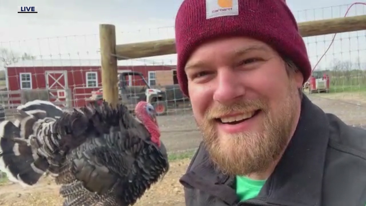 Talking Turkey with The Barn Sanctuary