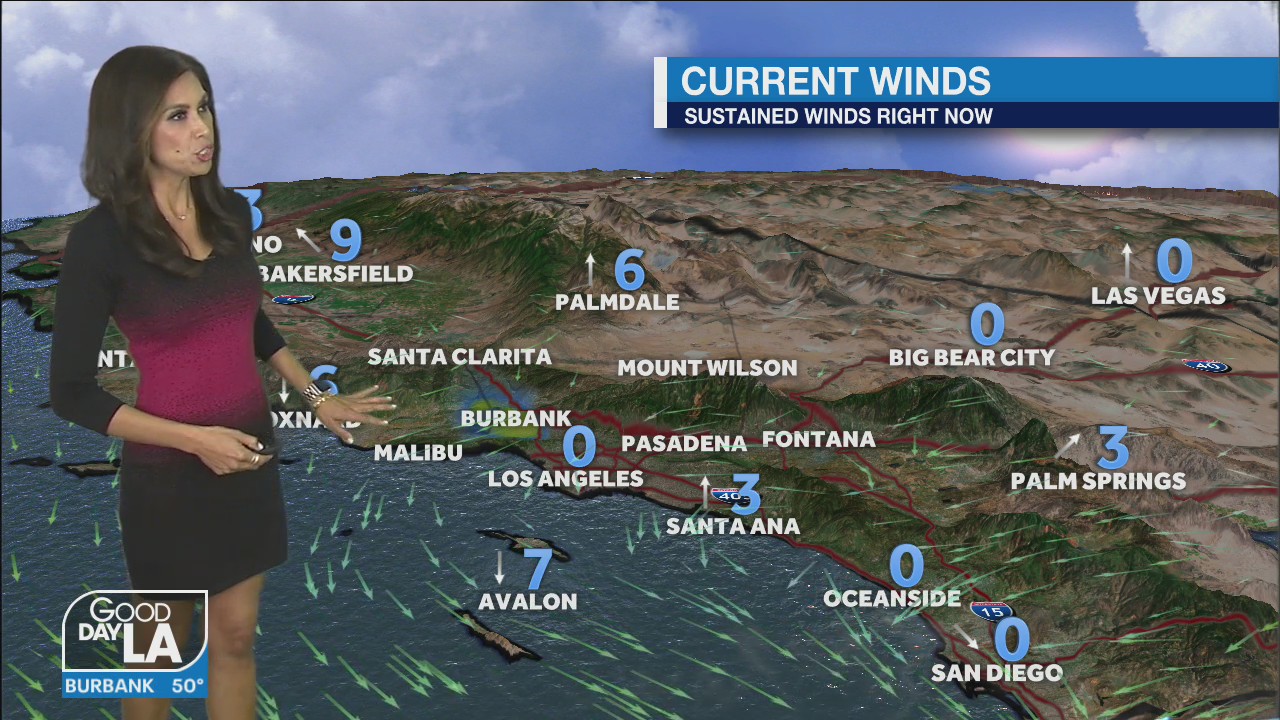 Weather Forecast for Wednesday, January 13